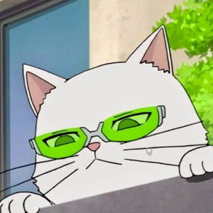 Meet your Posher, Tabitha